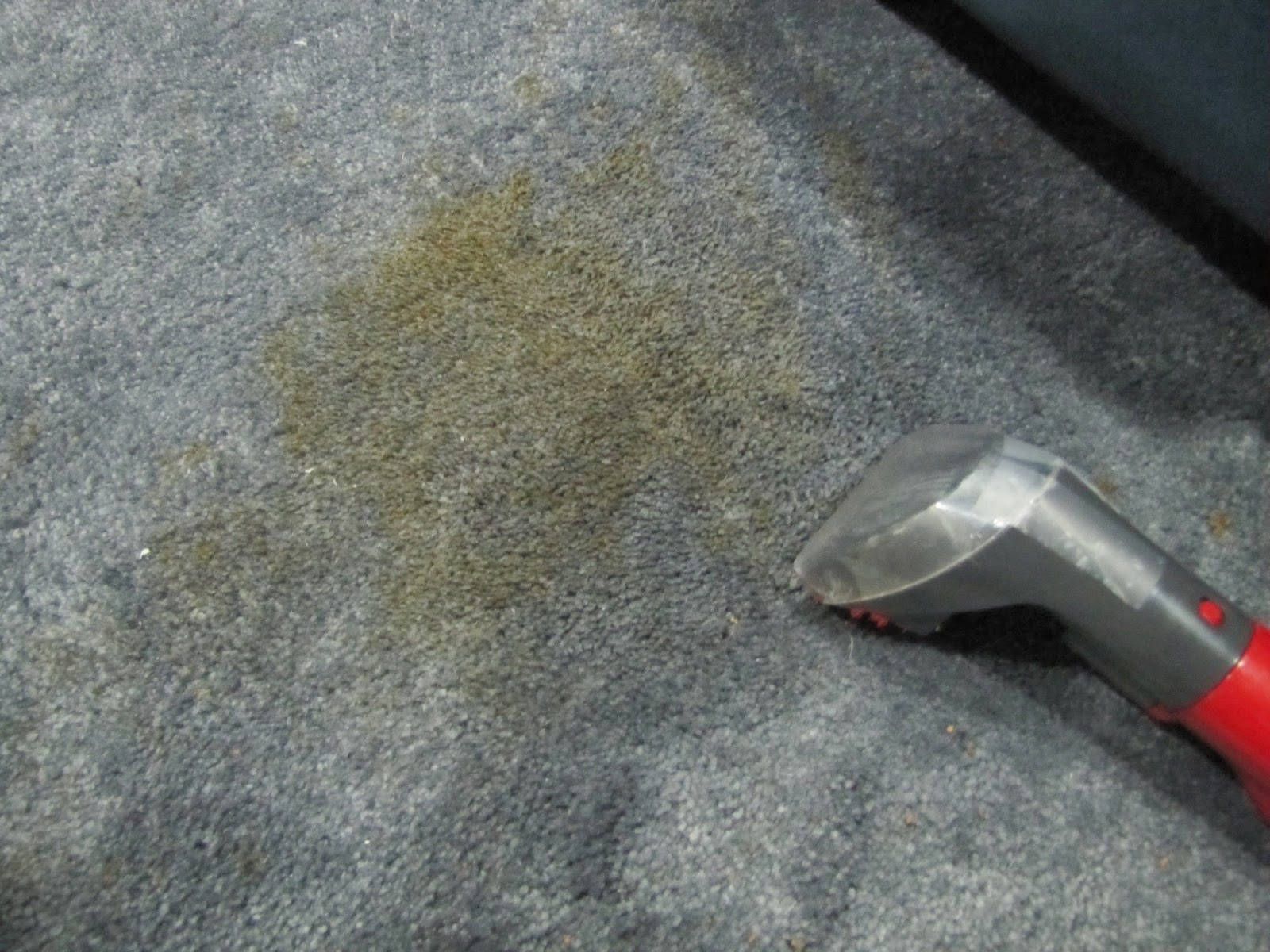 San Dimas carpet cleaners